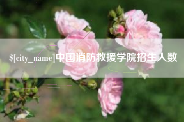 鸡西中国消防救援学院招生人数