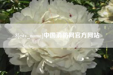 鸡西中国消防网官方网站