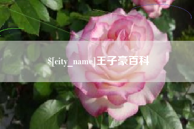 鸡西王子豪百科