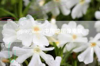 鸡西中国地图像素版