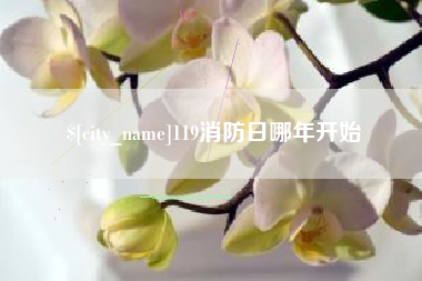 鸡西119消防日哪年开始