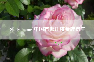 鸡西中国有哪几枚金牌得主