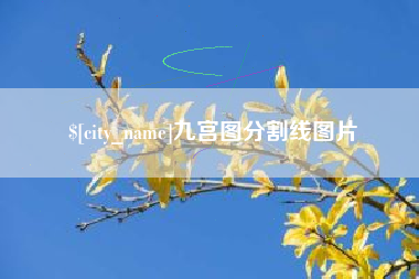 鸡西九宫图分割线图片
