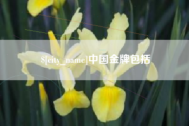 鸡西中国金牌包括