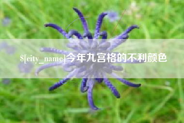 鸡西今年九宫格的不利颜色