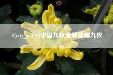 鸡西中国九枚金牌是哪九枚