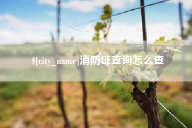 鸡西消防证查询怎么查