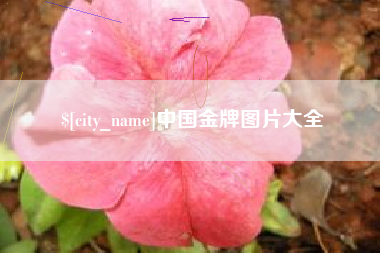 鸡西中国金牌图片大全