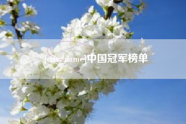 鸡西中国冠军榜单