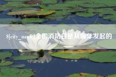 鸡西全国消防日是从哪年发起的