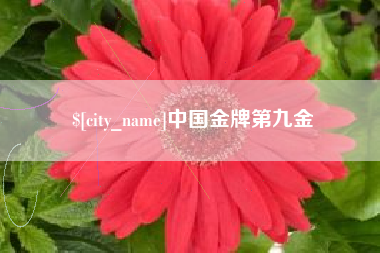 鸡西中国金牌第九金