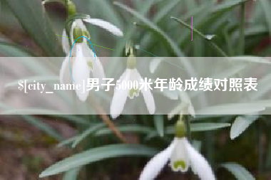 鸡西男子5000米年龄成绩对照表