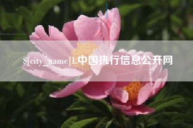 鸡西1.中国执行信息公开网