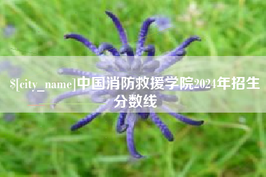 鸡西中国消防救援学院2024年招生分数线