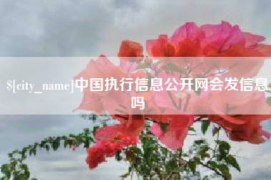 鸡西中国执行信息公开网会发信息吗
