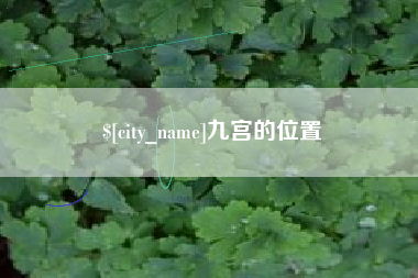 鸡西九宫的位置