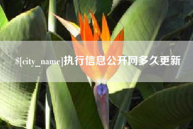 鸡西执行信息公开网多久更新