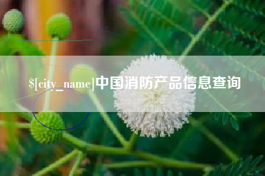 鸡西中国消防产品信息查询