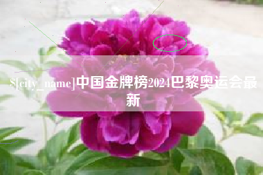 鸡西中国金牌榜2024巴黎奥运会最新