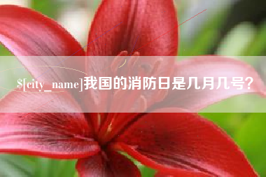 鸡西我国的消防日是几月几号？