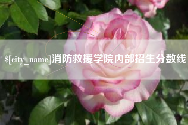 鸡西消防救援学院内部招生分数线