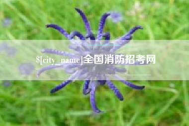 鸡西全国消防招考网
