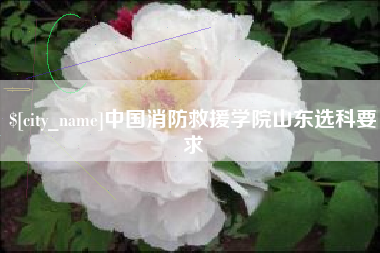 鸡西中国消防救援学院山东选科要求