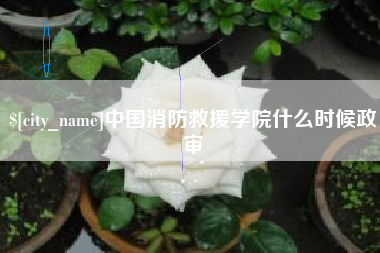 鸡西中国消防救援学院什么时候政审