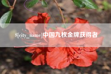 鸡西中国九枚金牌获得者