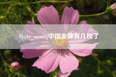 鸡西中国金牌有几枚了