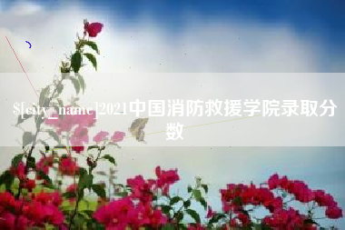 鸡西2021中国消防救援学院录取分数