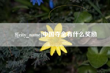 鸡西中国夺金有什么奖励
