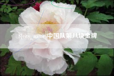 鸡西中国队第八块金牌