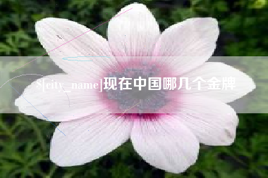 鸡西现在中国哪几个金牌