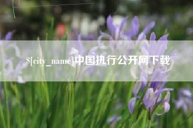 鸡西中国执行公开网下载