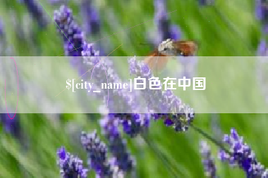 鸡西白色在中国