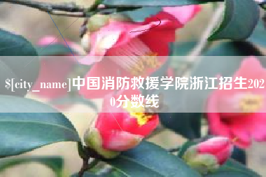 鸡西中国消防救援学院浙江招生2020分数线