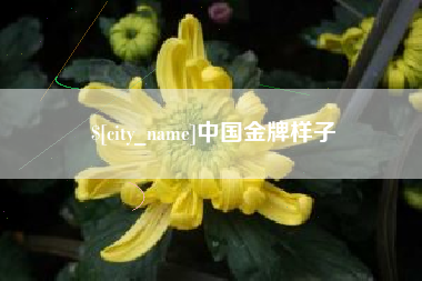 鸡西中国金牌样子