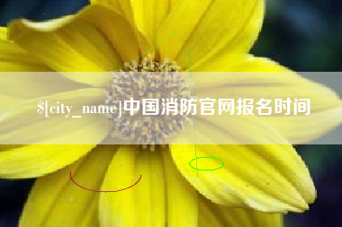 鸡西中国消防官网报名时间