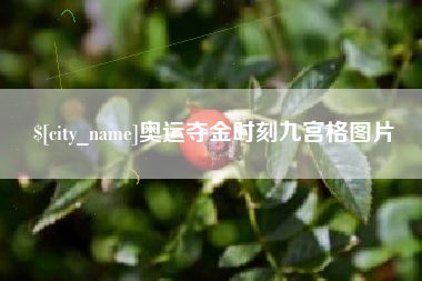 鸡西奥运夺金时刻九宫格图片