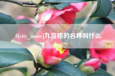 鸡西九宫格的名称叫什么