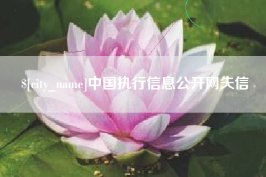 鸡西中国执行信息公开网失信