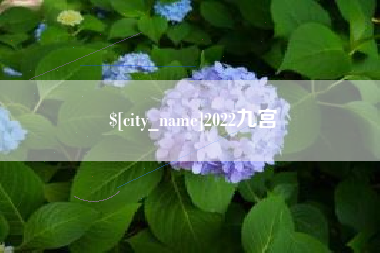 鸡西2022九宫
