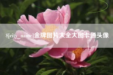 鸡西金牌图片大全大图卡通头像