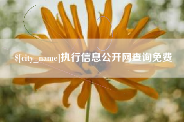 鸡西执行信息公开网查询免费