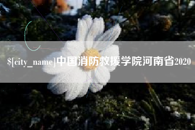 鸡西中国消防救援学院河南省2020